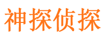 安岳调查取证